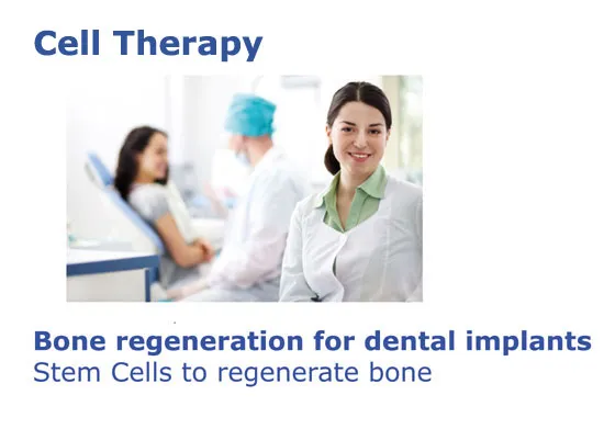 Bone regeneration